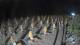 Castiglione della Pescaia 13.06.2025 22:14