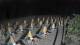 Castiglione della Pescaia 29.04.2025 22:14