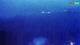Kolan (Pag) 29.04.2025 22:15