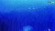 Kolan (Pag) 14.06.2025 22:14