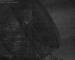 Jodrell Bank Observatory 29.04.2025 22:48