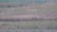 Les Landes-Genusson 14.06.2025 22:16