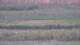 Les Landes-Genusson 08.05.2025 22:16