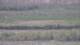 Les Landes-Genusson 08.05.2025 22:16