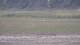 Les Landes-Genusson 16.03.2025 22:17