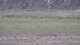 Les Landes-Genusson 10.05.2025 22:16