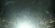 Mayrhofen 20.04.2025 22:16