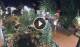 Gatlinburg, Tennessee 29.04.2025 22:18