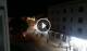 Caorle 29.04.2025 22:18