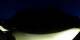 Gstaad 30.04.2025 22:05