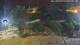 Benissa 07.07.2025 22:48