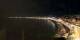 Nizza 29.04.2025 22:19