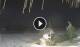 Bwejuu (Sansibar) 08.06.2025 22:20