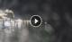 Scilla 29.04.2025 22:21