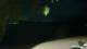 Le Morne 11.05.2025 22:22