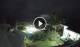 Anse Parnel (Mahé) 06.07.2025 22:24