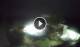 Anse Parnel (Mahé) 07.07.2025 22:23