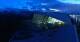 Axamer Lizum 13.07.2025 22:30