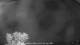 Carrum 08.05.2025 22:25