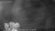 Carrum 10.05.2025 22:25