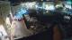 Pirano 09.07.2025 22:26