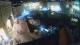 Piran 19.05.2025 22:26