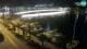 Zadar 06.07.2025 22:27