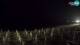 Platamona (Sardegna) 14.06.2025 22:27