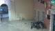 Rovinj 08.06.2025 22:27