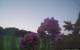 Montbliart 08.06.2025 22:28