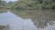 Les Landes-Genusson 14.06.2025 22:28