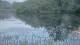 Les Landes-Genusson 12.05.2025 22:28