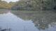 Les Landes-Genusson 01.07.2025 22:28
