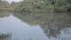 Les Landes-Genusson 08.06.2025 22:28