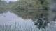 Les Landes-Genusson 08.05.2025 22:28