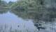 Les Landes-Genusson 29.04.2025 22:28