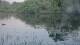 Les Landes-Genusson 29.04.2025 22:28