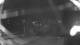 Saint-Léon-sur-Vézère 30.04.2025 22:28