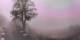 Lourdes 02.07.2025 22:28