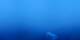 Leysin 07.07.2025 22:17