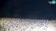 Bibione 30.04.2025 22:29