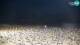 Bibione 08.06.2025 22:29