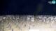 Bibione 01.07.2025 22:28