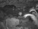 Quart-A-Nancy Point, Cooper Island 10.05.2025 22:29