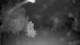 Steinbrunn 30.04.2025 22:31