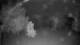 Steinbrunn 30.04.2025 22:31
