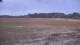 Les Landes-Genusson 14.07.2025 22:33