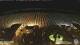 Cattolica 03.07.2025 22:31