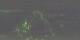 Fremantle 01.07.2025 22:29