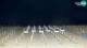 Bibione 30.04.2025 22:32